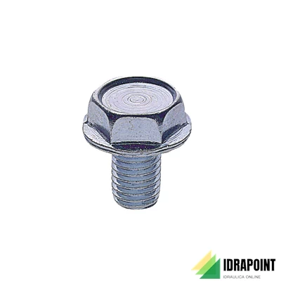 BULLONE TESTA ESAGONALE M 10X15