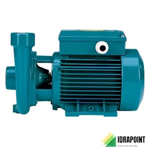 POMPA CON GIRANTE PERIFERICA TM 61/E V.230/50 IE2