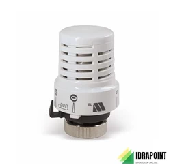 TESTA TERMOSTATICA WATTS 148A