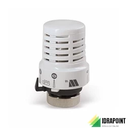 TESTA TERMOSTATICA WATTS 148A