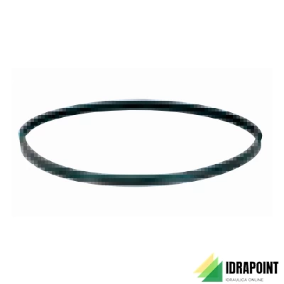 GUARNIZIONE  PER CONDENSAZIONE AN PLUS Ø 60 MM