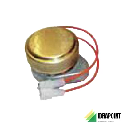 MOTORE PER VALVOLA SERIE SF 2/3 VIE 230 V CON CONNESSIONI