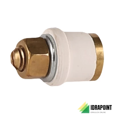 RACCORDO PRELIEVO E ISPEZIONE FUMI