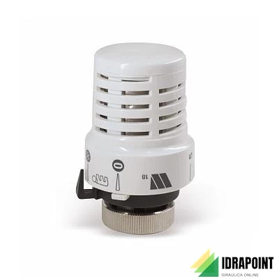 TESTA TERMOSTATICA WATTS 148A